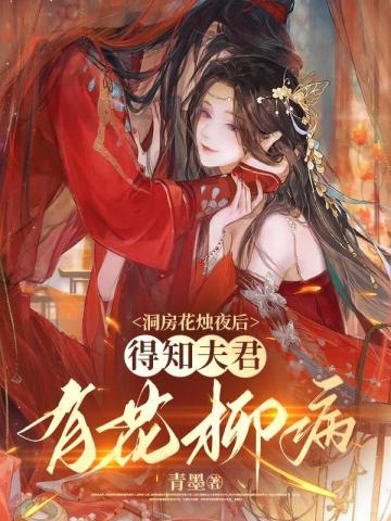 洞房花烛夜后，得知夫君有花柳病封面
