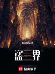 盗三界封面