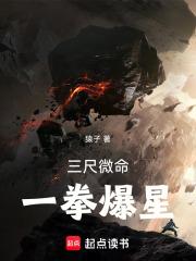 三尺微命，一拳爆星封面