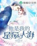 他是我的星辰大海封面