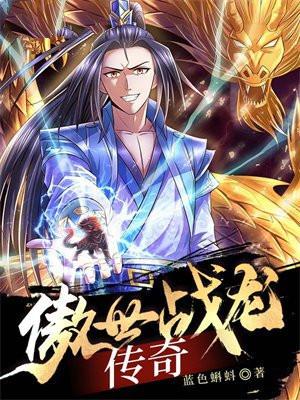 傲世战龙传奇封面