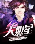 大明星系统封面