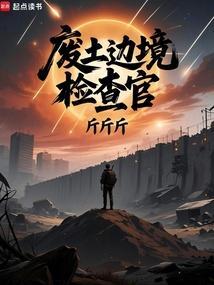 废土边境检查官封面