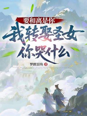 要和离是你，我转娶圣女你哭什么封面
