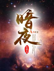 暗夜封面