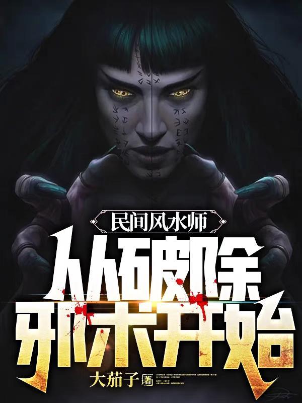 民间风水师笔记封面