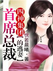 四神集团1：首席总裁的逃妻封面