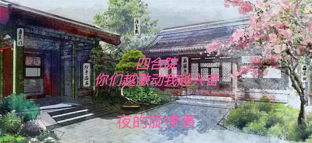 四合院：你们越激动我越兴奋封面