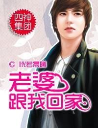 四神集团2·老婆，跟我回家封面