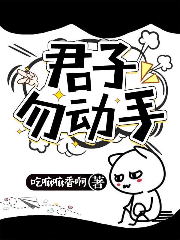 君子勿动手封面