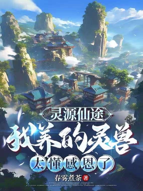 灵源仙路封面