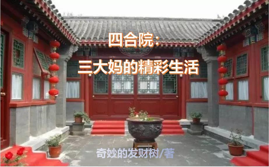 四合院：三大妈的平凡人生封面