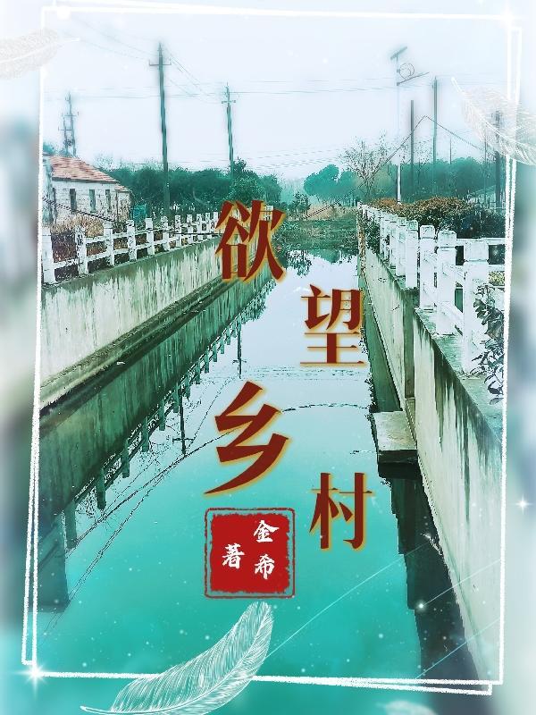 欲望乡村封面