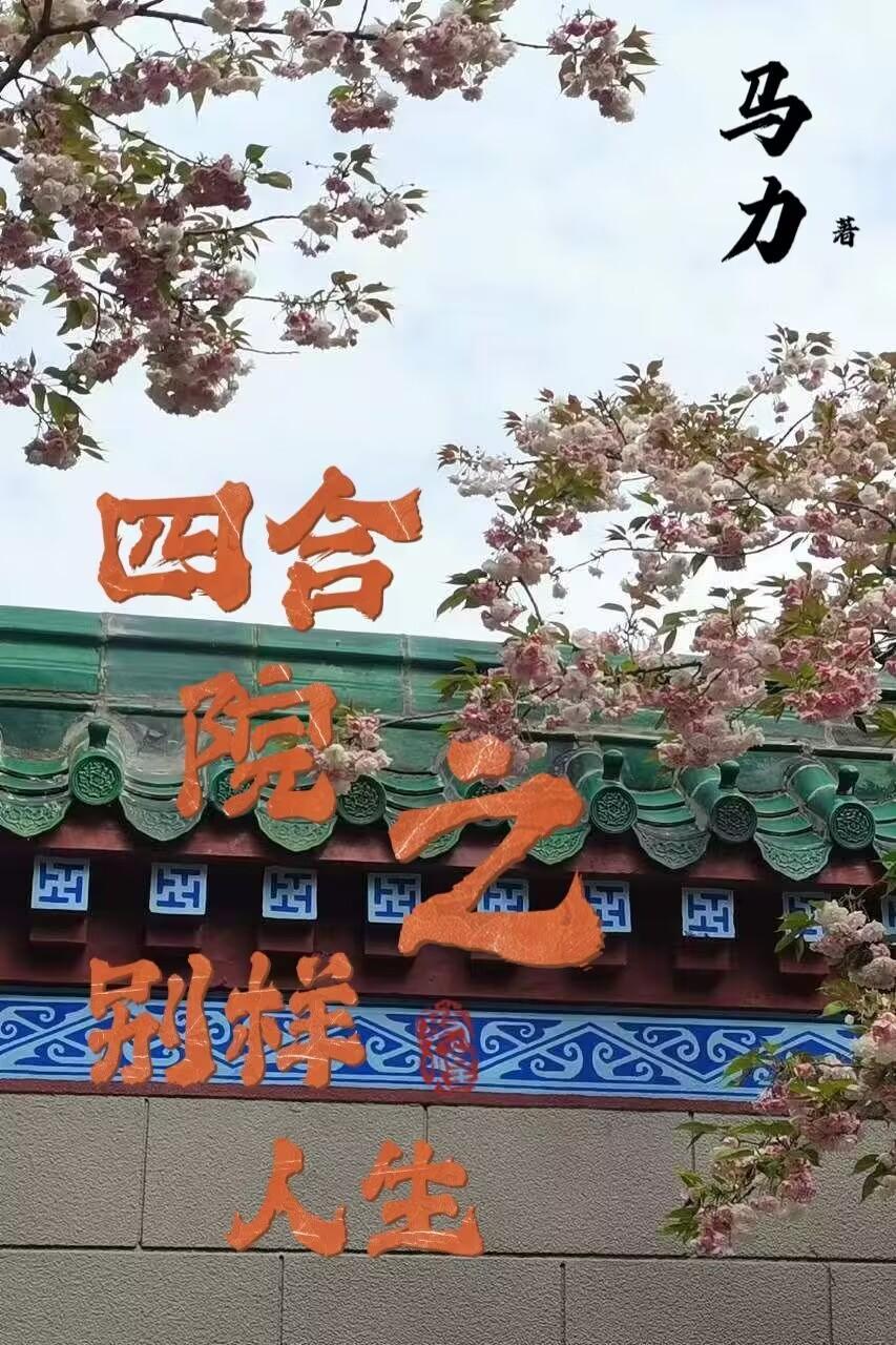 四合院之别样人生封面