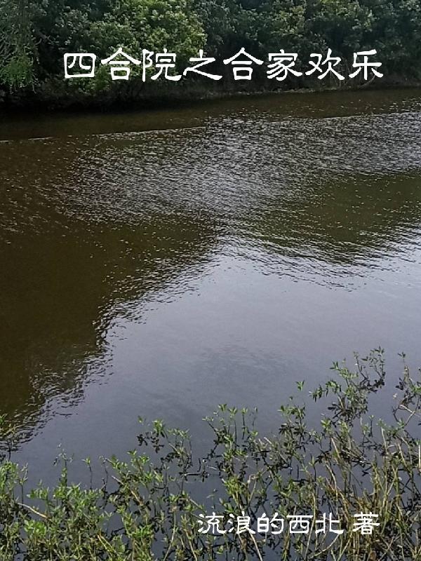 四合院之合家欢乐封面