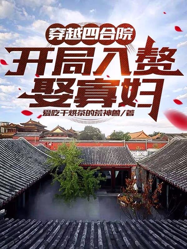 穿越四合院，开局入赘娶寡妇封面