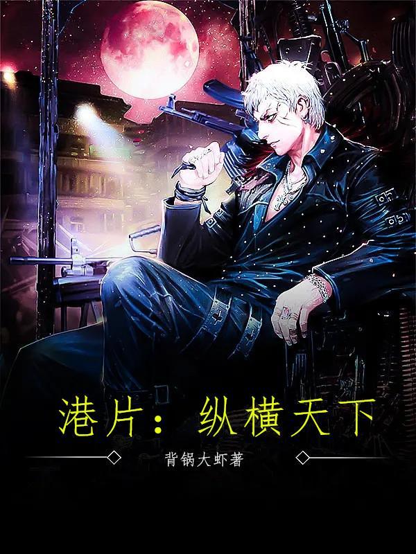 港片：纵横天下封面