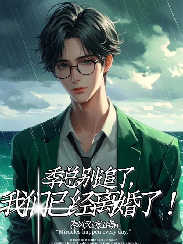 季总别追了，我们已经离婚了！封面