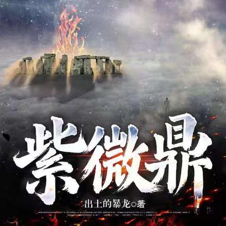 紫微鼎封面