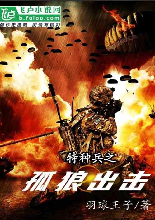 特种兵之孤狼出击封面