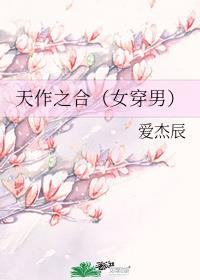 天作之合（女穿男）封面