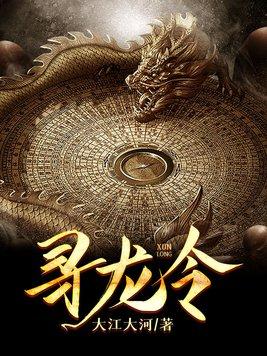寻龙令封面