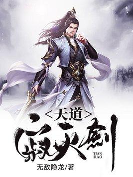 天道寂灭剑封面