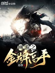 网游之金牌高手封面