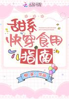 甜系快穿食用指南封面