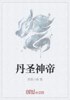 丹圣神帝封面