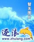 我为伊人狂封面