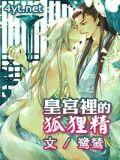 皇宫里的狐狸精封面