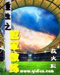 重生之冠军教练封面