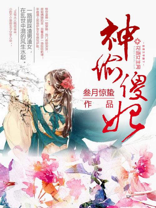 神偷傻妃封面