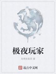 极夜玩家封面