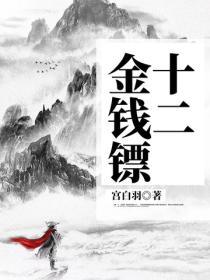 十二金钱镖封面