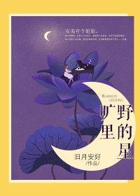 旷野里的星安夷沈韫封面