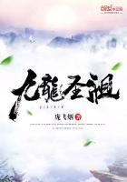 九龙圣祖封面