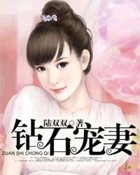 钻石宠妻封面