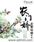 农门娇封面