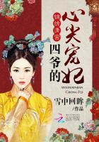 四爷的心尖宠妃叶枣四爷封面