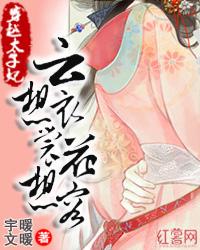 穿越太子妃之云想衣裳花想容封面