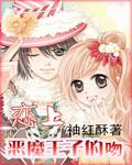 恋上恶魔王子的吻封面