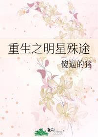 重生之明星殊途封面