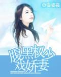 腹黑权少戏娇妻封面