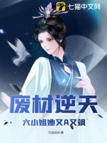 废材逆天，六小姐她又A又飒封面