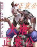大唐正衰封面