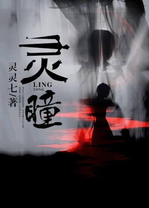 灵瞳封面