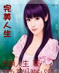 完美人生封面
