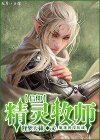 信仰精灵牧师封面